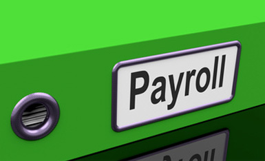 Professional Payroll Services 
